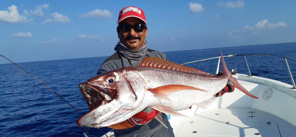 100% Awesome Sports fishing Havelock Island, Swaraj Dweep